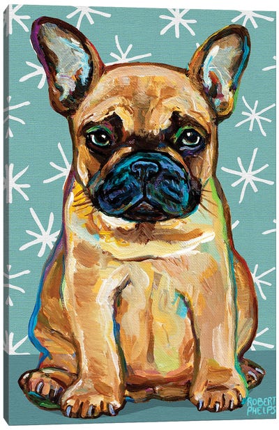 Frenchie Pup and Stars Canvas Art Print - French Bulldog Art