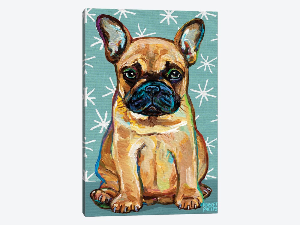 Frenchie Pup and Stars by Robert Phelps 1-piece Canvas Print