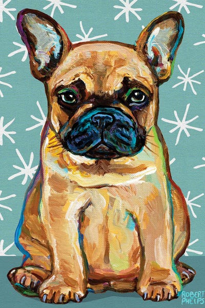 Robert Phelps: Frenchie Pup and Stars by Robert Phelps