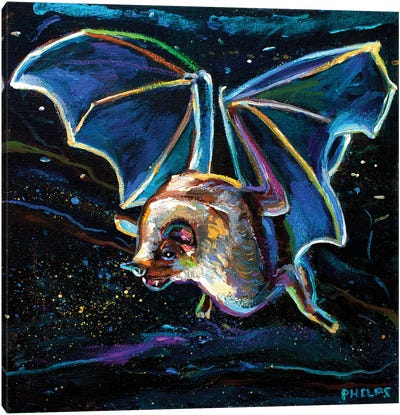 Nocturne Canvas Art Print - Bat Art