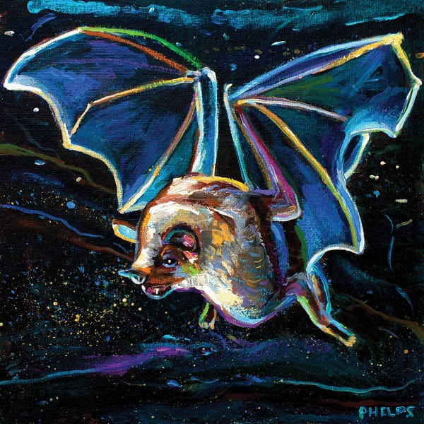 Bats: Nocturne by Robert Phelps