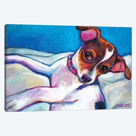 Chihuahua Puppy Canvas Print #RPH20} by Robert Phelps Canvas Wall Art