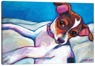 Chihuahua Puppy Canvas Art Print - Chihuahua Art