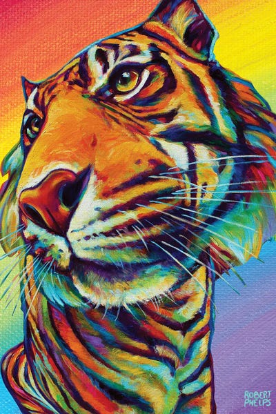 Rainbow Tiger by Robert Phelps framed canvas print