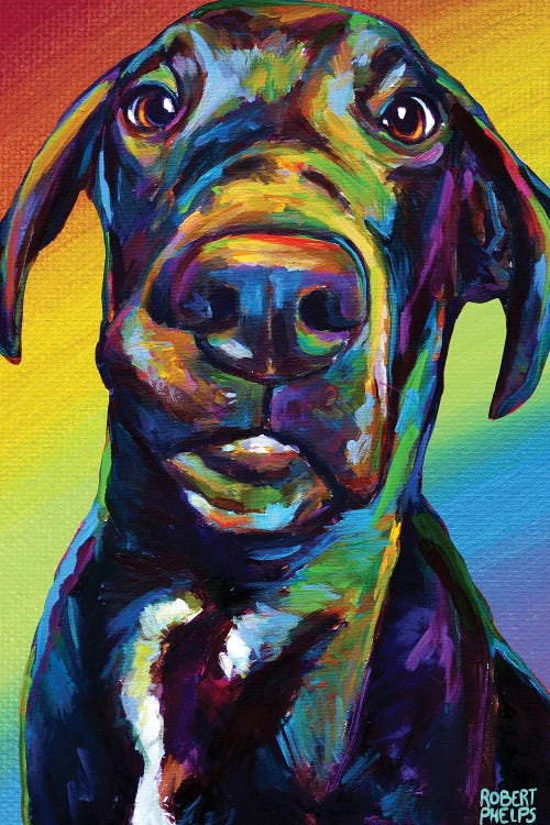Rainbow Hank by Robert Phelps wall art