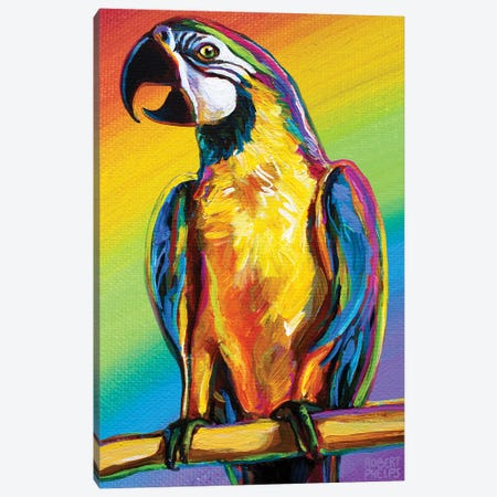 Rainbow Parrot Canvas Print #RPH212} by Robert Phelps Art Print