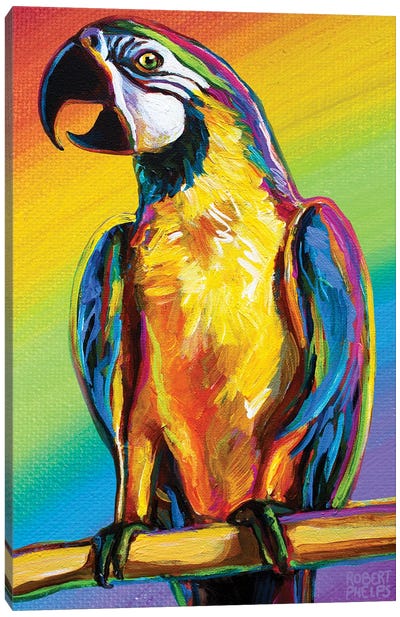 Rainbow Parrot Canvas Art Print - Chromatic Kingdom