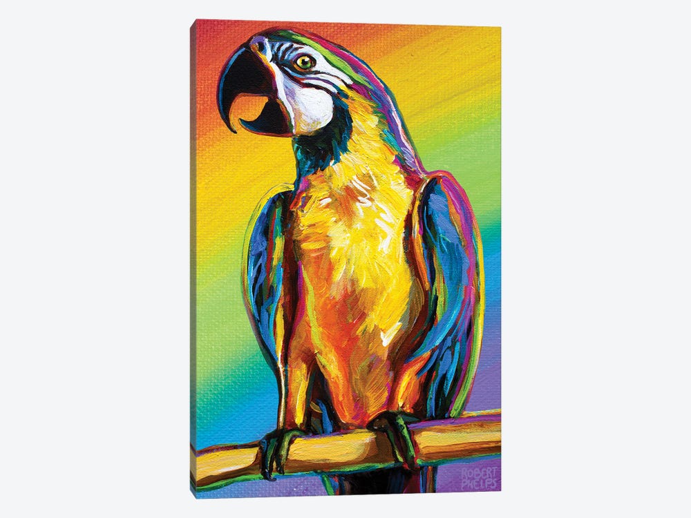 Rainbow Parrot by Robert Phelps 1-piece Canvas Artwork