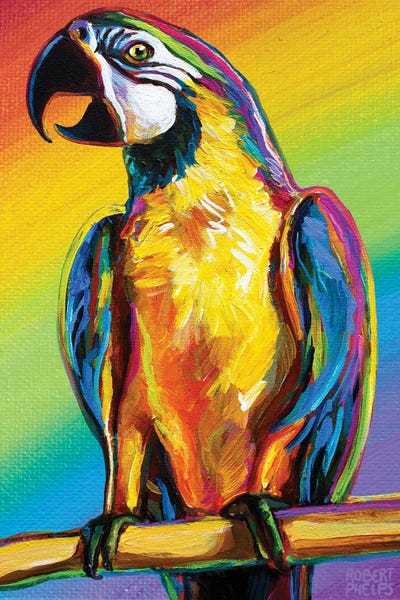 Robert Phelps: Rainbow Parrot by Robert Phelps