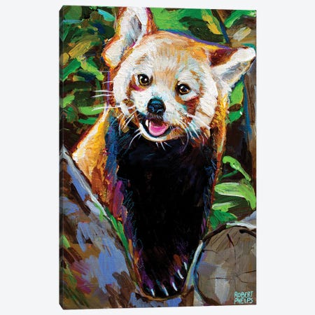 Red Panda Canvas Print #RPH213} by Robert Phelps Canvas Print