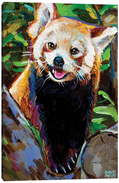 Red Panda Canvas Art Print - Red Panda