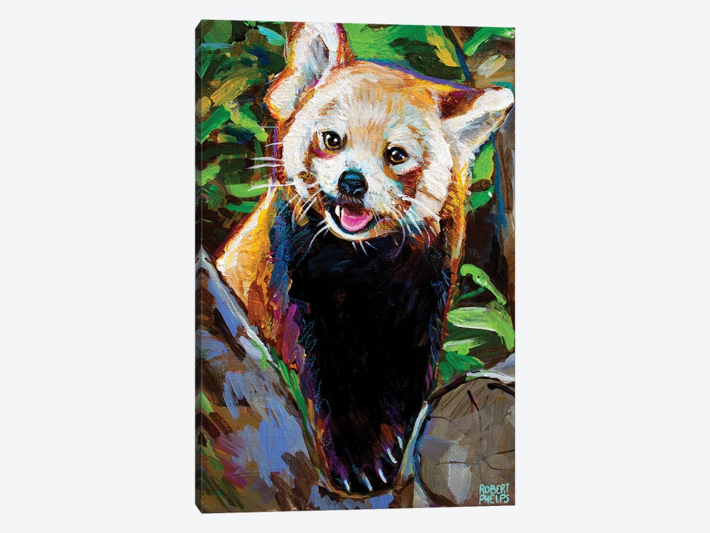 Red Panda by Robert Phelps 1-piece Canvas Print