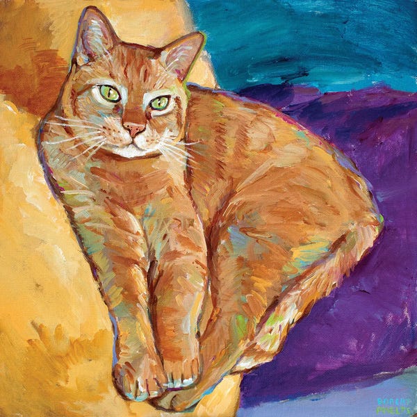 Orange Cats: Contemplation by Robert Phelps