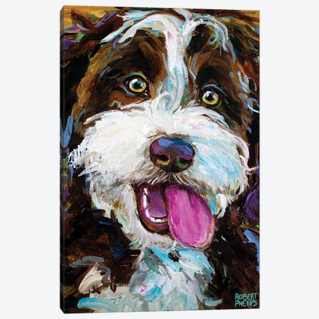 Happy Aussiedoodle I Canvas Print #RPH218} by Robert Phelps Canvas Print