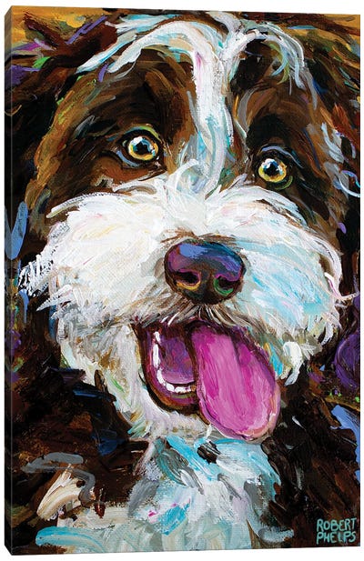 Happy Aussiedoodle I Canvas Art Print