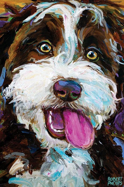 Crossbreeds: Happy Aussiedoodle I by Robert Phelps