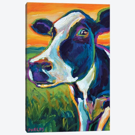 Cow Canvas Print #RPH21} by Robert Phelps Canvas Art