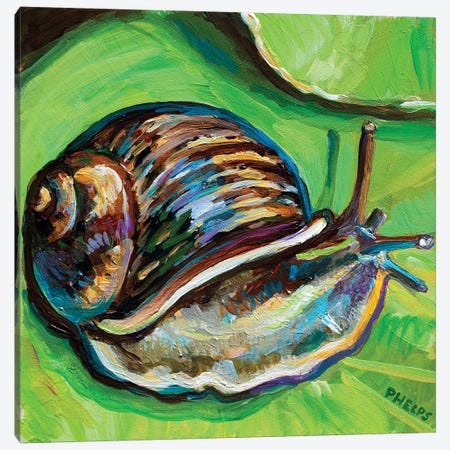 Garden Snail Canvas Print #RPH220} by Robert Phelps Canvas Artwork