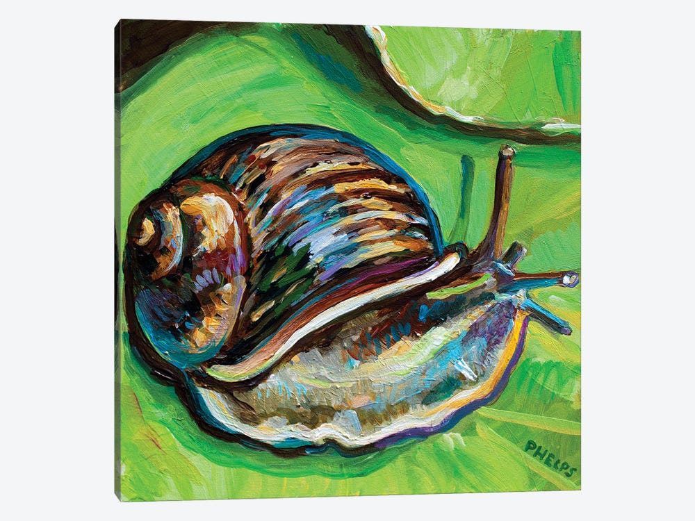 Garden Snail by Robert Phelps 1-piece Art Print
