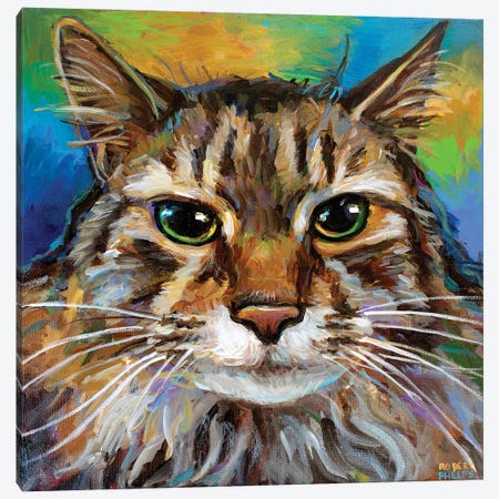 Maine Coon Cat I Canvas Print #RPH224} by Robert Phelps Canvas Print