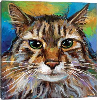 Maine Coon Cat I Canvas Art Print - Robert Phelps