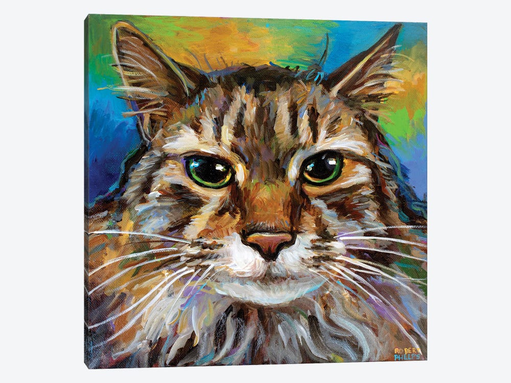 Maine Coon Cat I by Robert Phelps 1-piece Canvas Print
