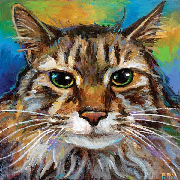 Robert Phelps: Maine Coon Cat I by Robert Phelps
