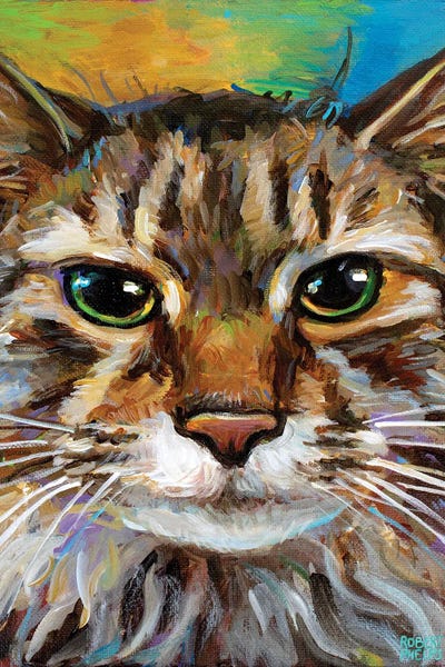 Maine Coon Cat II by Robert Phelps metal wall art