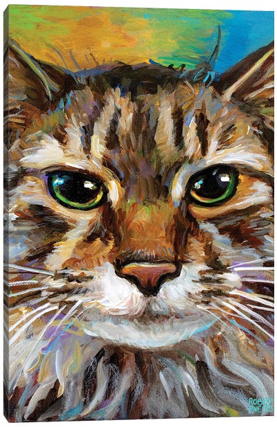 Maine Coon Cat II Canvas Art Print