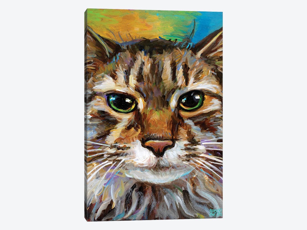 Maine Coon Cat II by Robert Phelps 1-piece Canvas Artwork