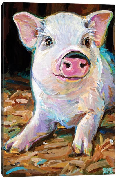 Rudolph The Pig I Canvas Art Print - Robert Phelps