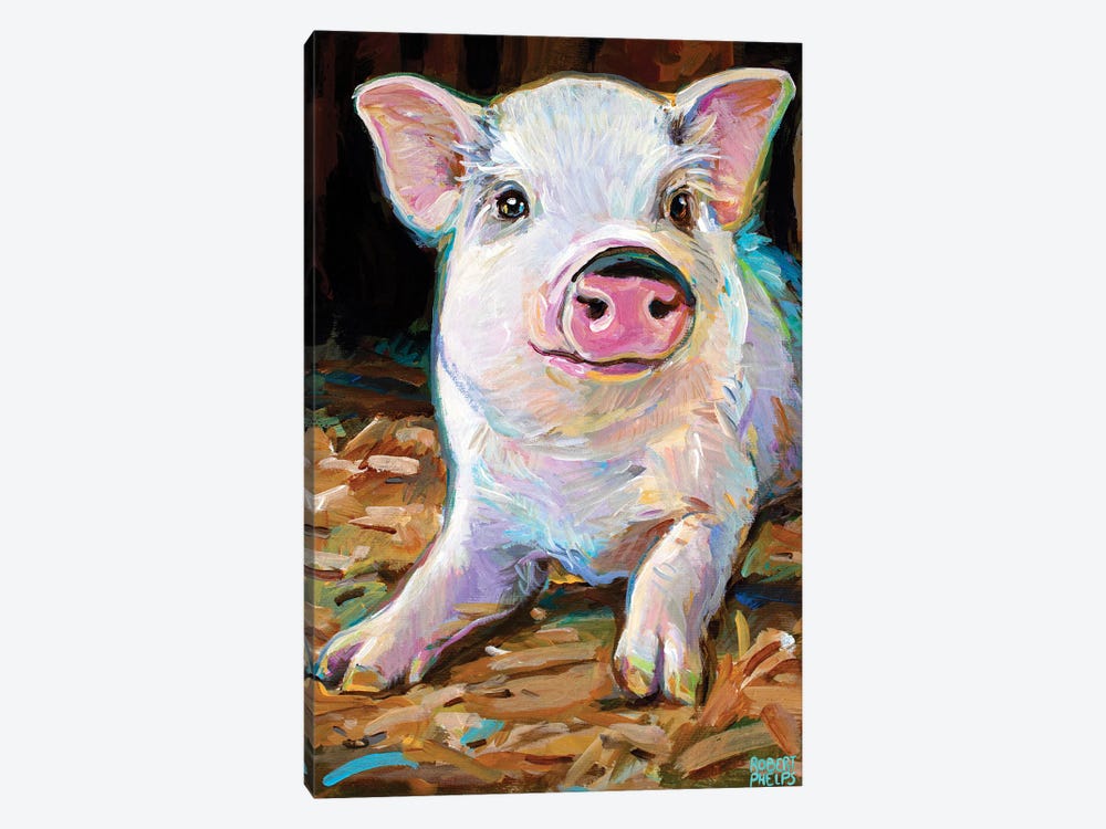 Rudolph The Pig I by Robert Phelps 1-piece Canvas Print