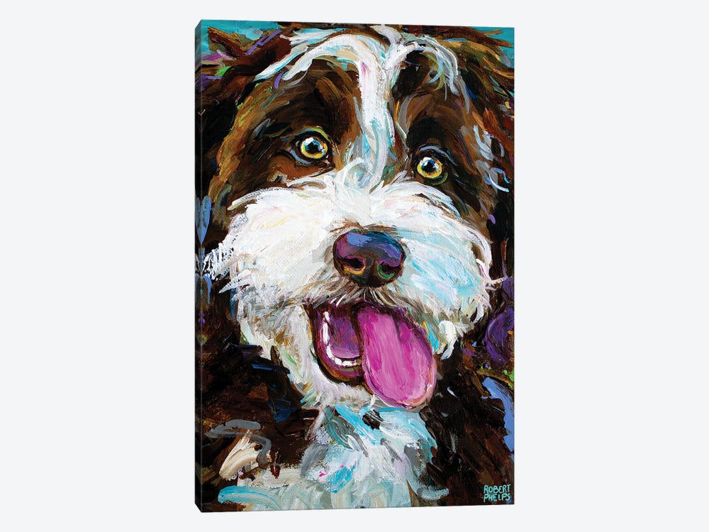 Aussiedoodle On Blue by Robert Phelps 1-piece Canvas Print
