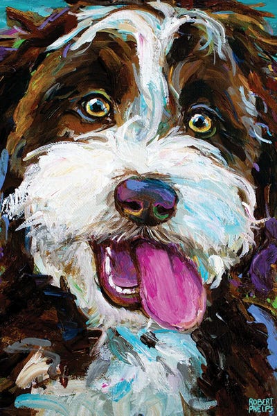 Robert Phelps: Aussiedoodle On Blue by Robert Phelps