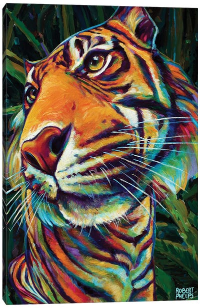 Jungle Tiger Canvas Art Print - Robert Phelps