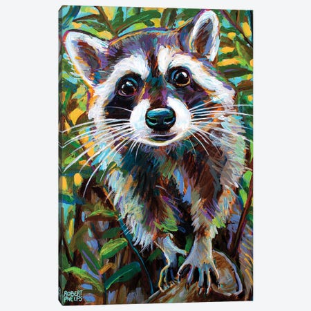 Curious Raccoon I Canvas Print #RPH233} by Robert Phelps Art Print