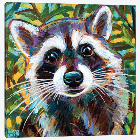 Curious Raccoon Ii Canvas Print #RPH234} by Robert Phelps Canvas Art