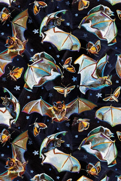 Midnight Mania II by Robert Phelps framed canvas print