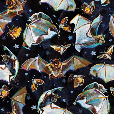 Midnight Mania I by Robert Phelps framed canvas print