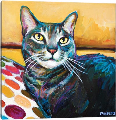 Cy The Cat Canvas Art Print - Robert Phelps