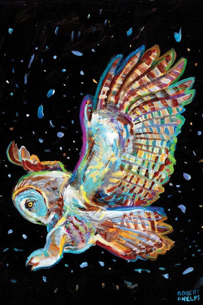 Gray Owl by Robert Phelps framed canvas print