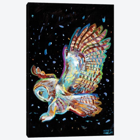 Gray Owl Canvas Print #RPH240} by Robert Phelps Canvas Art