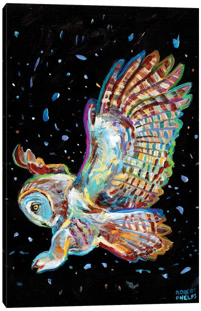 Gray Owl Canvas Art Print - Robert Phelps