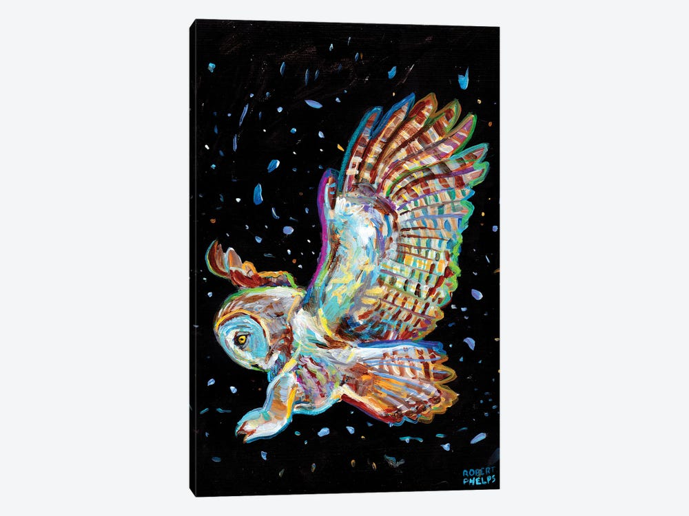 Gray Owl by Robert Phelps 1-piece Canvas Art Print