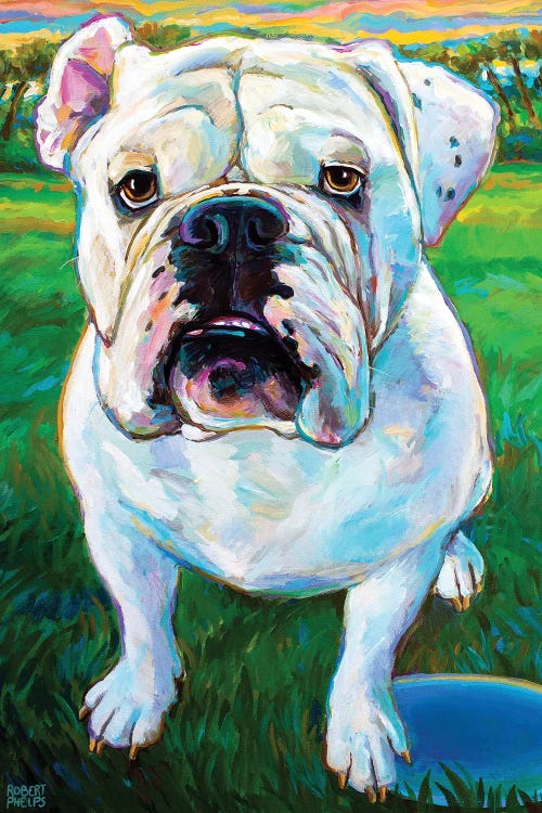 Bubba I by Robert Phelps wall art