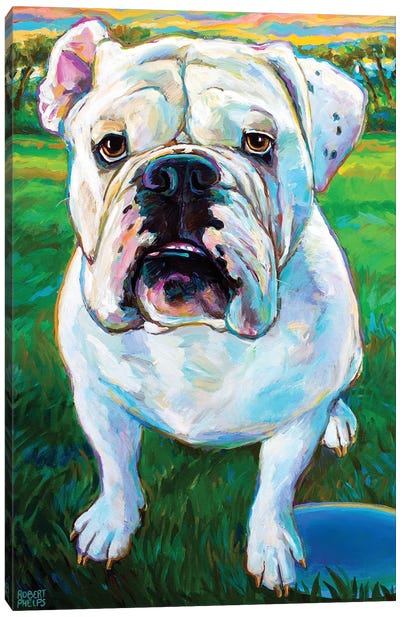 Bubba I Canvas Art Print - Bulldog Art
