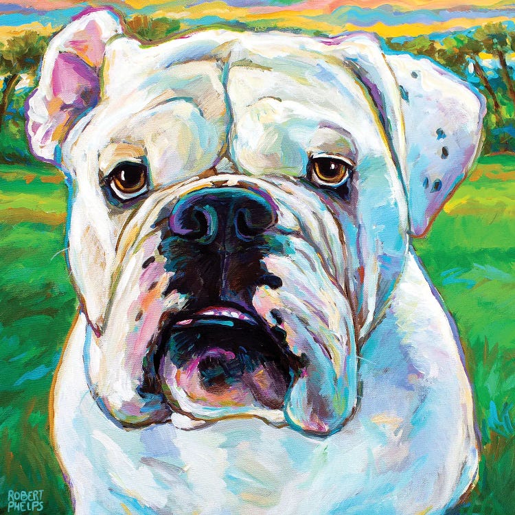 Bubba II by Robert Phelps wall art