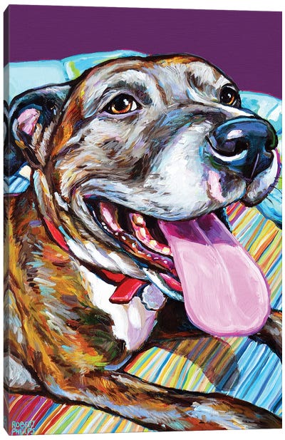 Parker The Pitbull Canvas Art Print - Pit Bull Art
