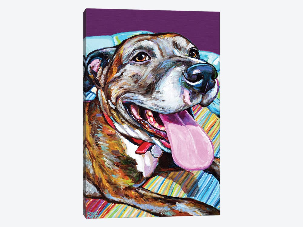 Parker The Pitbull by Robert Phelps 1-piece Canvas Wall Art