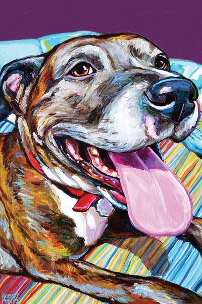 Pet Obsessed: Parker The Pitbull by Robert Phelps